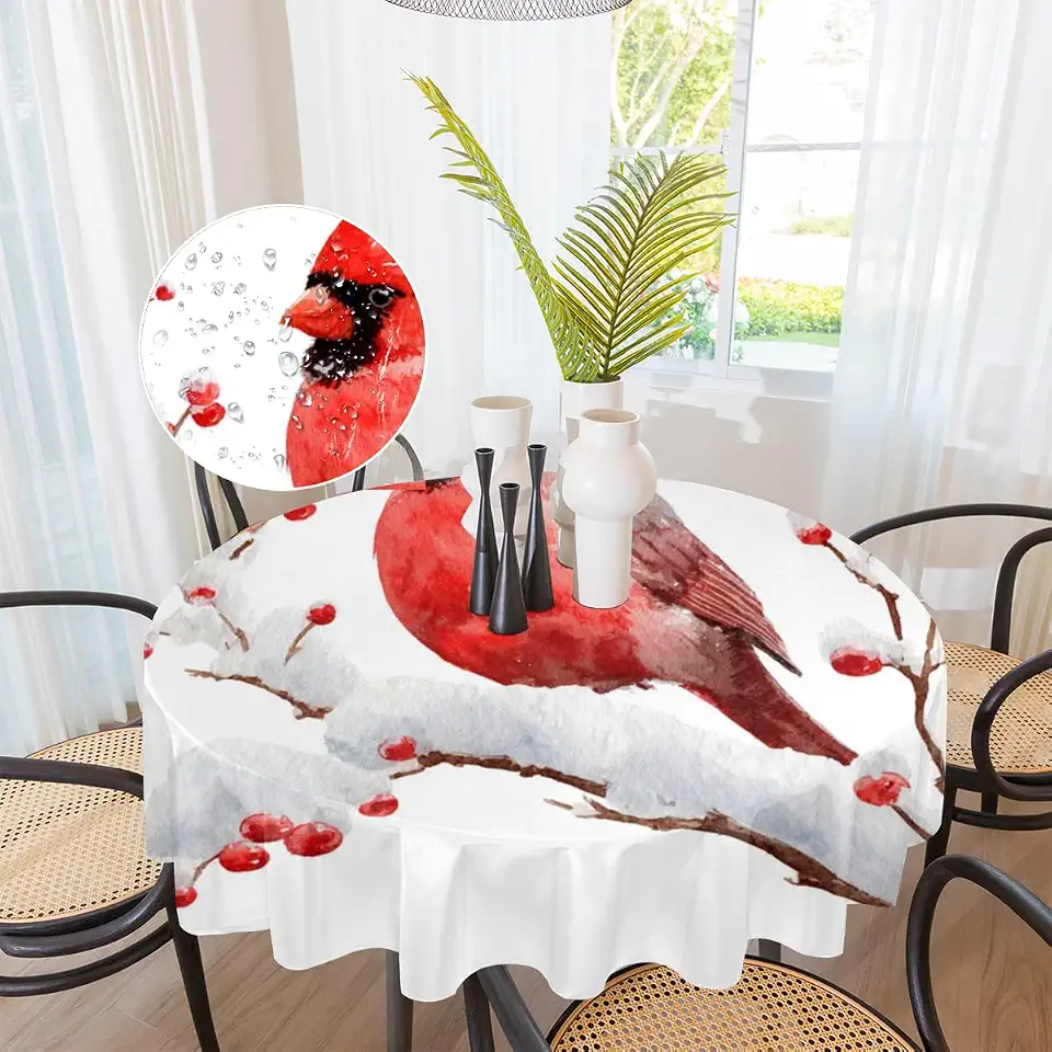 Amazon.com : kitchen and dining thumbnail
