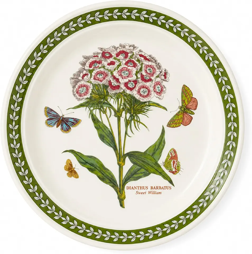 Amazon.com : kitchen and dining