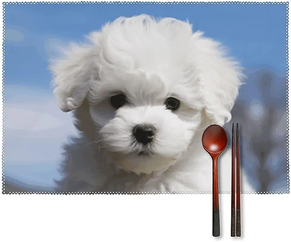 Amazon.com : kitchen and dining thumbnail