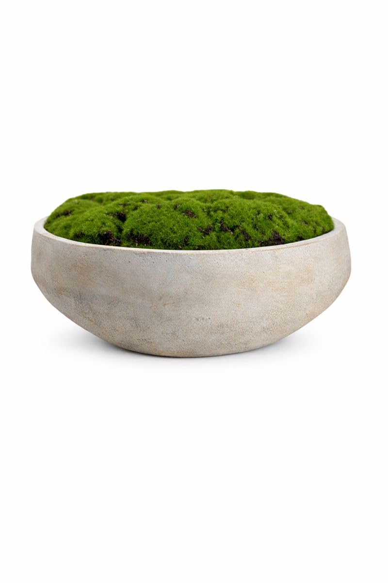 Hand Painted Cement Moss Bowl | 12 Inch | Artificial Moss Centerpiece | Decorative Coffee Table Bowl