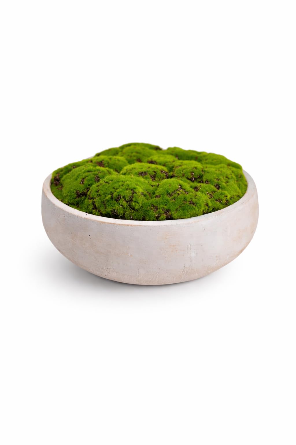 Hand Painted Cement Moss Bowl | 12 Inch | Artificial Moss Centerpiece | Decorative Coffee Table Bowl thumbnail